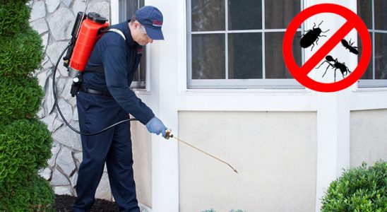 Marmaris Sivrisinek İlaçlama böcek ilaçlama ve haşere kontrolü — ilaclama-tr.com